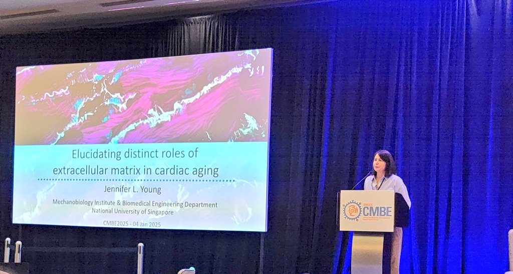 Ever wondered what a hardened heart looks like? Dr. Jennifer Young's study on the effects of young&amp;old heart ECM on young&amp;old heart cells holds the answer! Great talk #cmbe2025 <a href="/NUSingapore/">NUS</a>