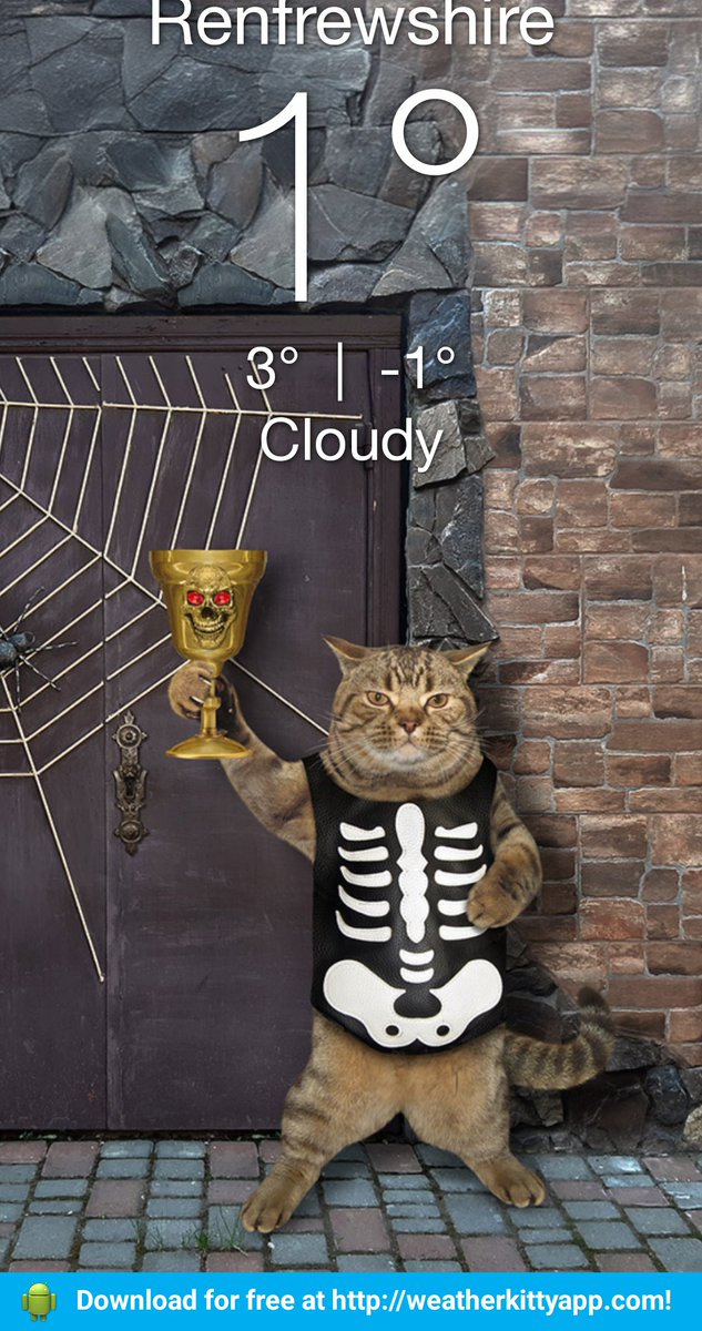 mywonkyknees's tweet photo. @KMotherofcats
https://t.co/z5Hw9rM5CA #weatherkitty https://t.co/HQXYHqvvfm