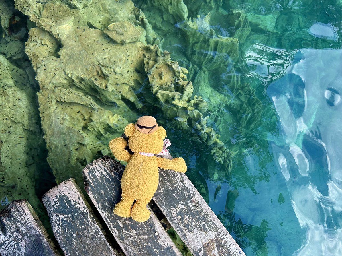 Fozzie_travels's tweet image. The water in lake #Kayangan and lake #Barracuda is so clear that you can see all the way to the bottom. You don’t even have to start diving or get a wet fur. Amazing.
#itsmorefuninthePhilippines #Palawan #Coron