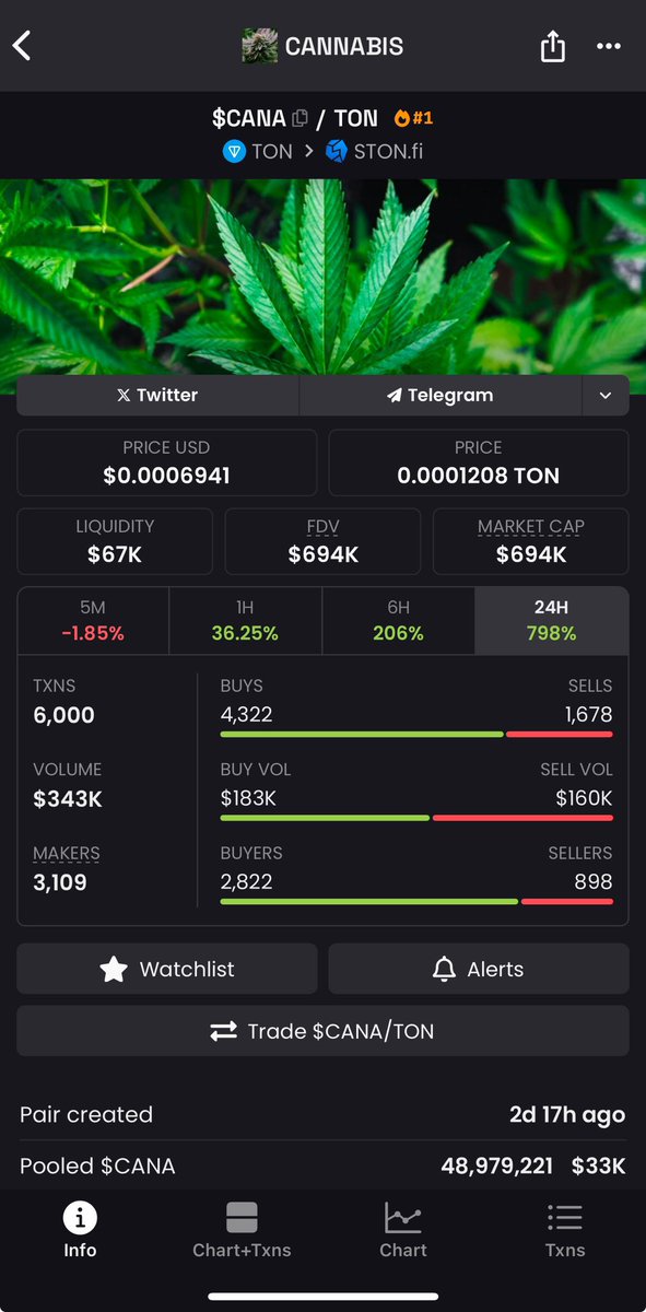 Meanwhile $Cana traded above $800k today and retraced .

Trust me $1m will be a landslide.

Bigger news in coming 🔥🔥🔥🔥

Snooze and miss.