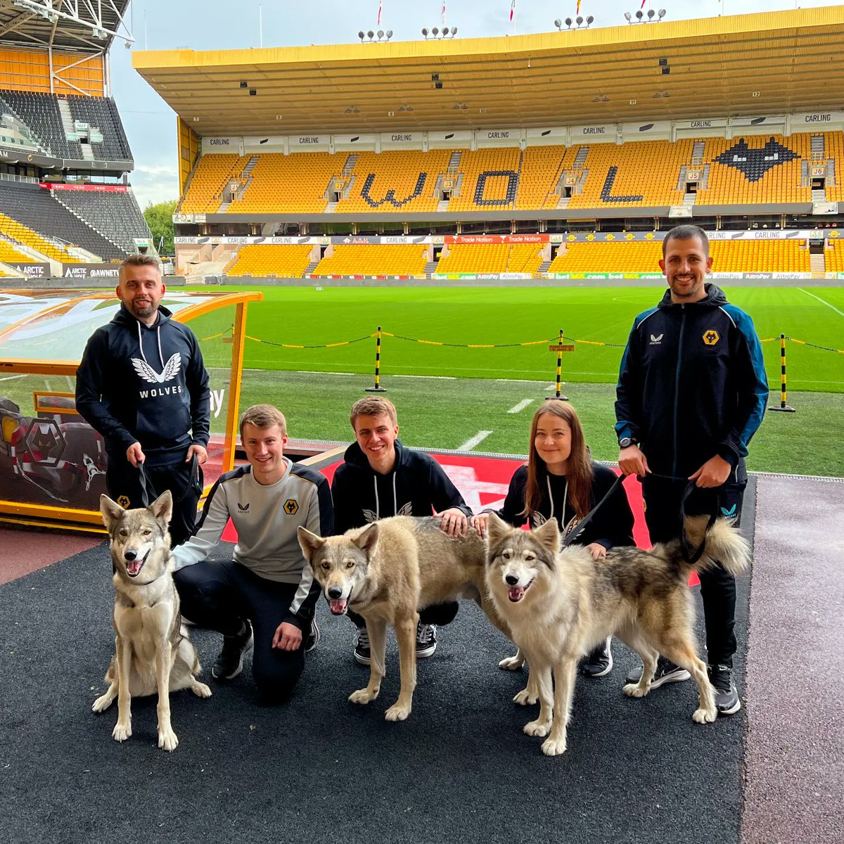 gemfrith's tweet image. Some early January transfer news!

After 5 incredible seasons at Wolves, I&apos;ll be leaving my role at the end of this month. Wolverhampton has been my home for 4 years and I&apos;ve loved every minute of my time here, but I&apos;ve decided it&apos;s the right time to accept a new, exciting (1/5)