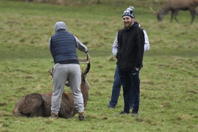 Help find these people who inflicted 'cruel attack' on a Wollaton Park stag.

The photographer who captured the encounter on camera said she was "appalled" at their behaviour.

Full story: bbc.co.uk/news/articles/…
