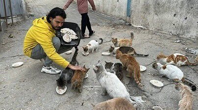 EyeonPalestine's tweet photo. Fadel Nabhan, 27 years old, from Al-Nuseirat refugee camp, dedicates himself to feeding street cats and dogs amidst the food shortages affecting residents in the Gaza Strip. After witnessing cats and dogs scavenging on the bodies of martyrs, he decided to provide them with food and began visiting the New Camp area north of Al-Nuseirat to feed them. 

فضل نبهان ٢٧ عام من مخيم النصيرات يعمل علي اطعام قطط وكلاب الشارع في ظل نقص الغذاء عند المواطنين في قطاع غزة بعد مشاهدة الكلاب والقطط ينهشون في جثث الشهداء قرر ان يقوم بتوفير طعام لهم والتوجه لمنطقة المخيم الجديد شمال النصيرات وإطعامهم