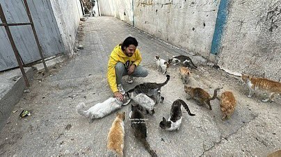 EyeonPalestine's tweet photo. Fadel Nabhan, 27 years old, from Al-Nuseirat refugee camp, dedicates himself to feeding street cats and dogs amidst the food shortages affecting residents in the Gaza Strip. After witnessing cats and dogs scavenging on the bodies of martyrs, he decided to provide them with food and began visiting the New Camp area north of Al-Nuseirat to feed them. 

فضل نبهان ٢٧ عام من مخيم النصيرات يعمل علي اطعام قطط وكلاب الشارع في ظل نقص الغذاء عند المواطنين في قطاع غزة بعد مشاهدة الكلاب والقطط ينهشون في جثث الشهداء قرر ان يقوم بتوفير طعام لهم والتوجه لمنطقة المخيم الجديد شمال النصيرات وإطعامهم
