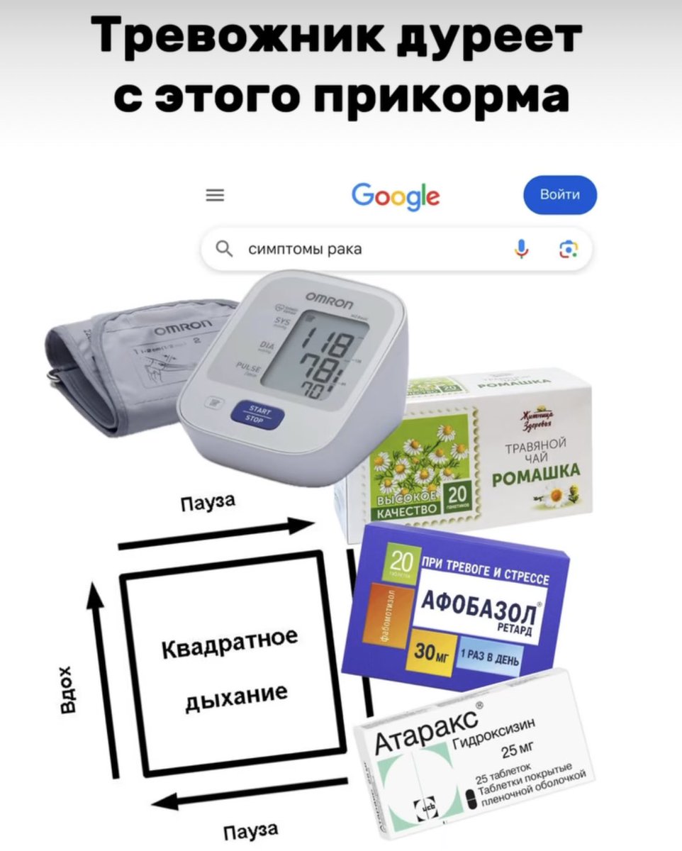 Anna Truf tweet media