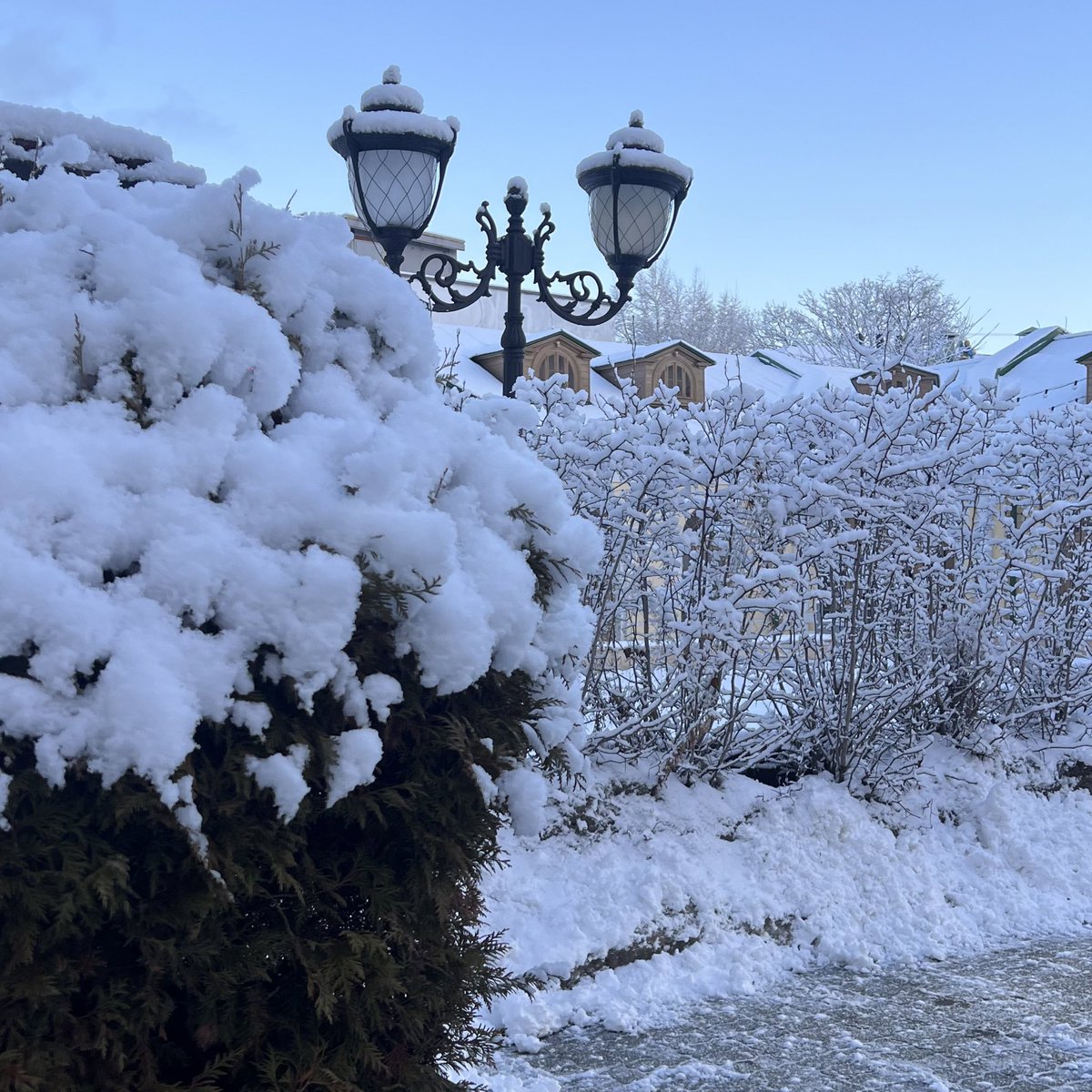 a_n_m_alg's tweet image. #موسكو 🇷🇺
#2025 😍