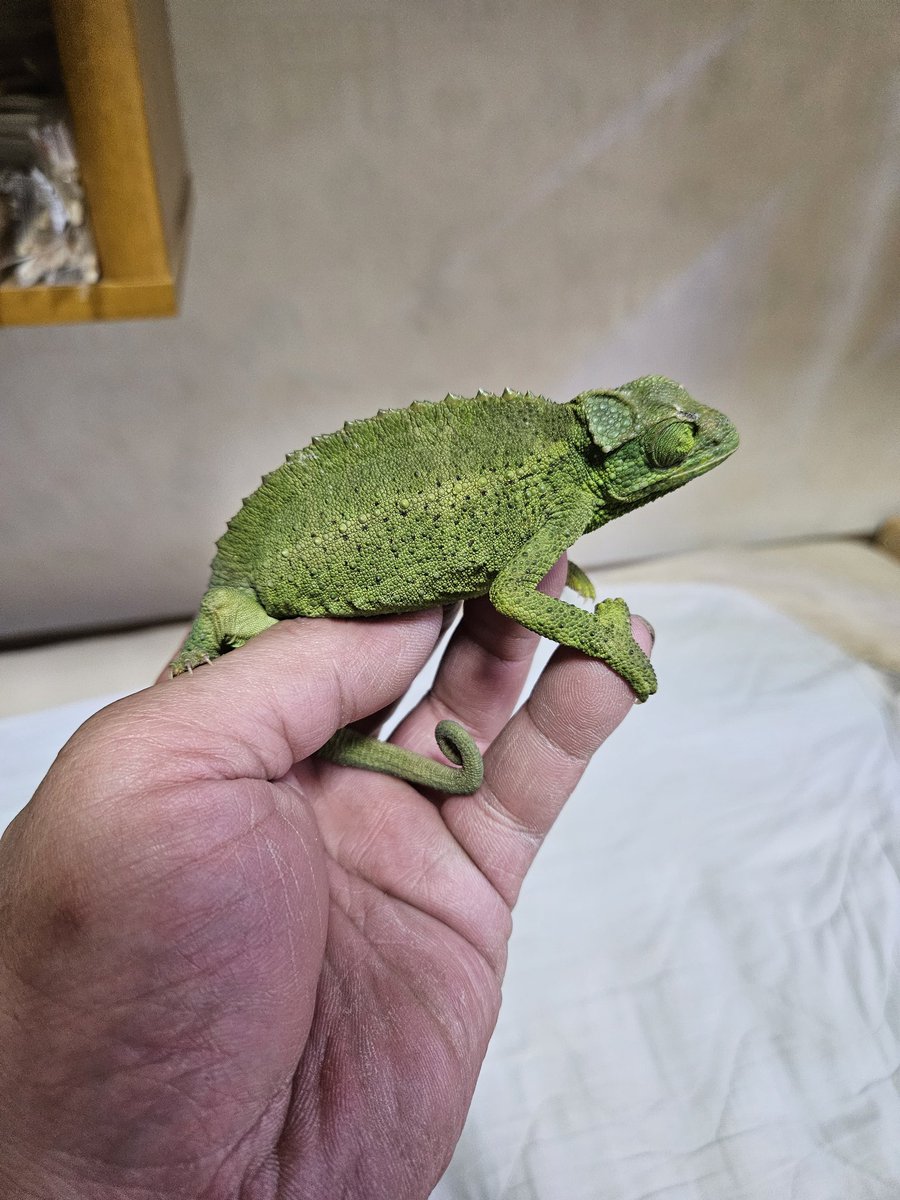 f239ti2620's tweet photo. 本日は正月休み帰宅の子を、江別まで送り大麻にてキサンをお迎えして帰宅です(笑)
2時間この子たちを見てたら、目の前に寝落ちさんm(_ _)m
新年のご挨拶してからお迎え(笑) https://t.co/tEeUON9RBi