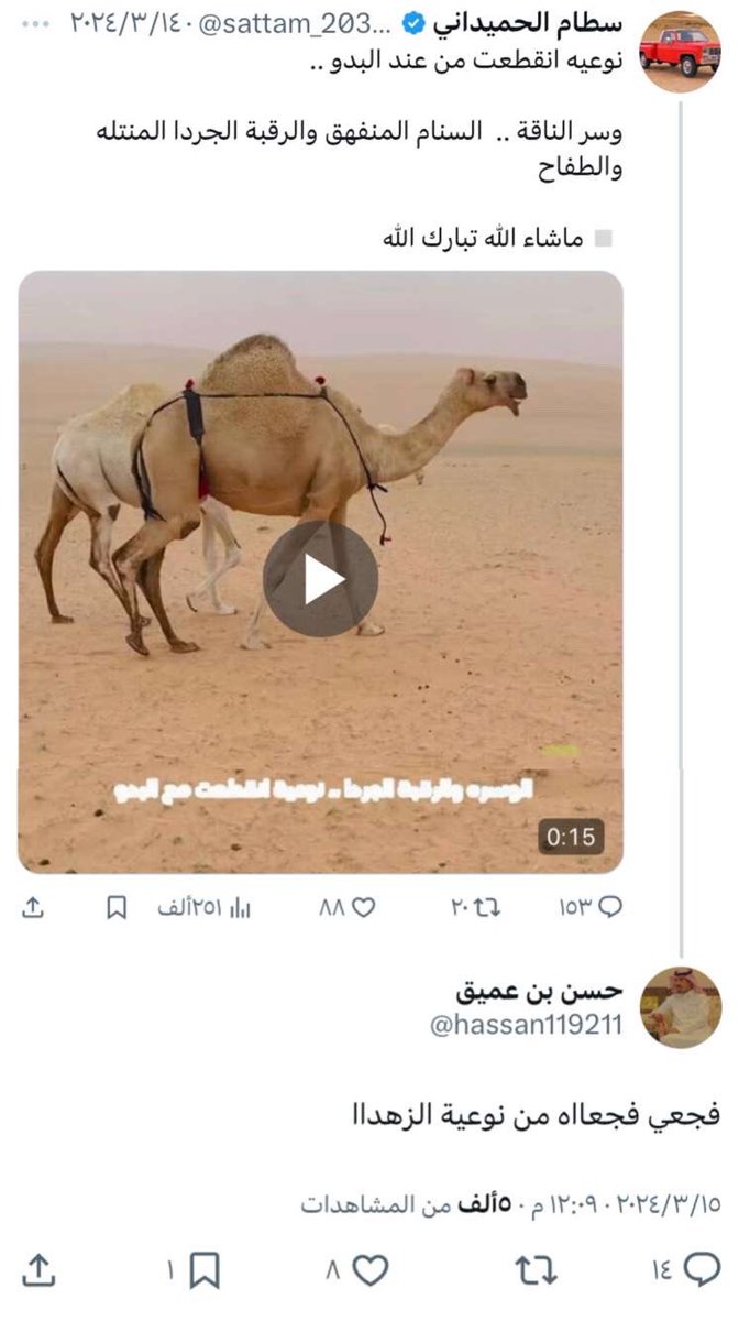 ابو صالح القفاري ..🐪🎖️ tweet media