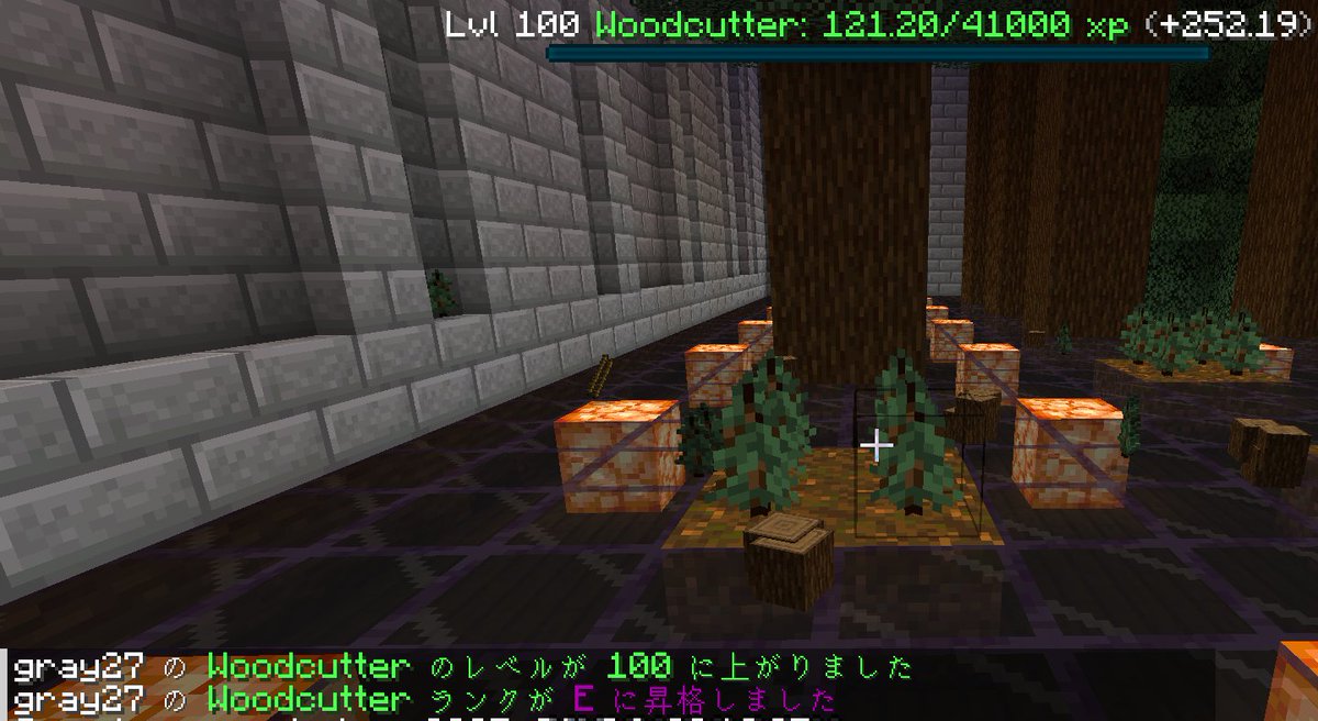 gray_cat27's tweet image. #FREESERVER @FREESERVERP でjobレベル上がったよ