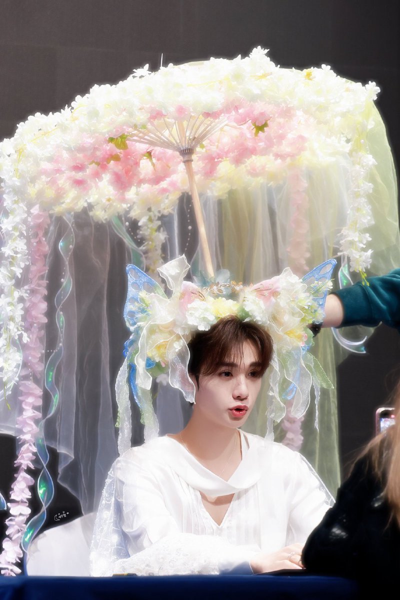 시발잠만 이거는 더이상 팬싸템의 영역이 아니잖아 사람머리에서 거대해파리가 피어낫다고