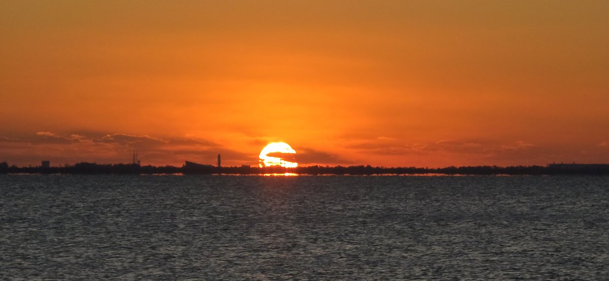 SpaceCoastSkies's tweet photo. My daily bread and my daily delight π
#sunrise #flwx #SpaceCoastSkies #StormHour #RocketGarden #KSCVC https://t.co/YQYuOWwrKx