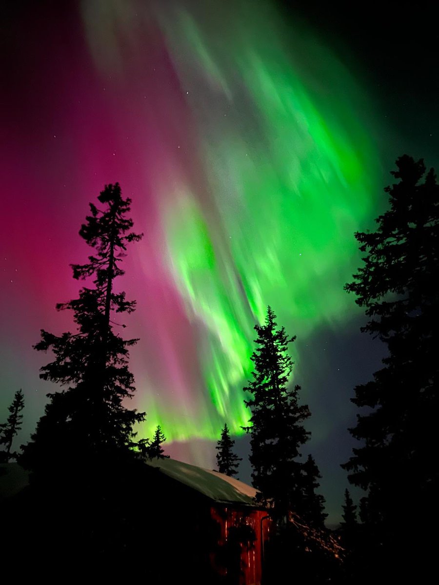 2025 is beautiful. Northern lights over Norway.