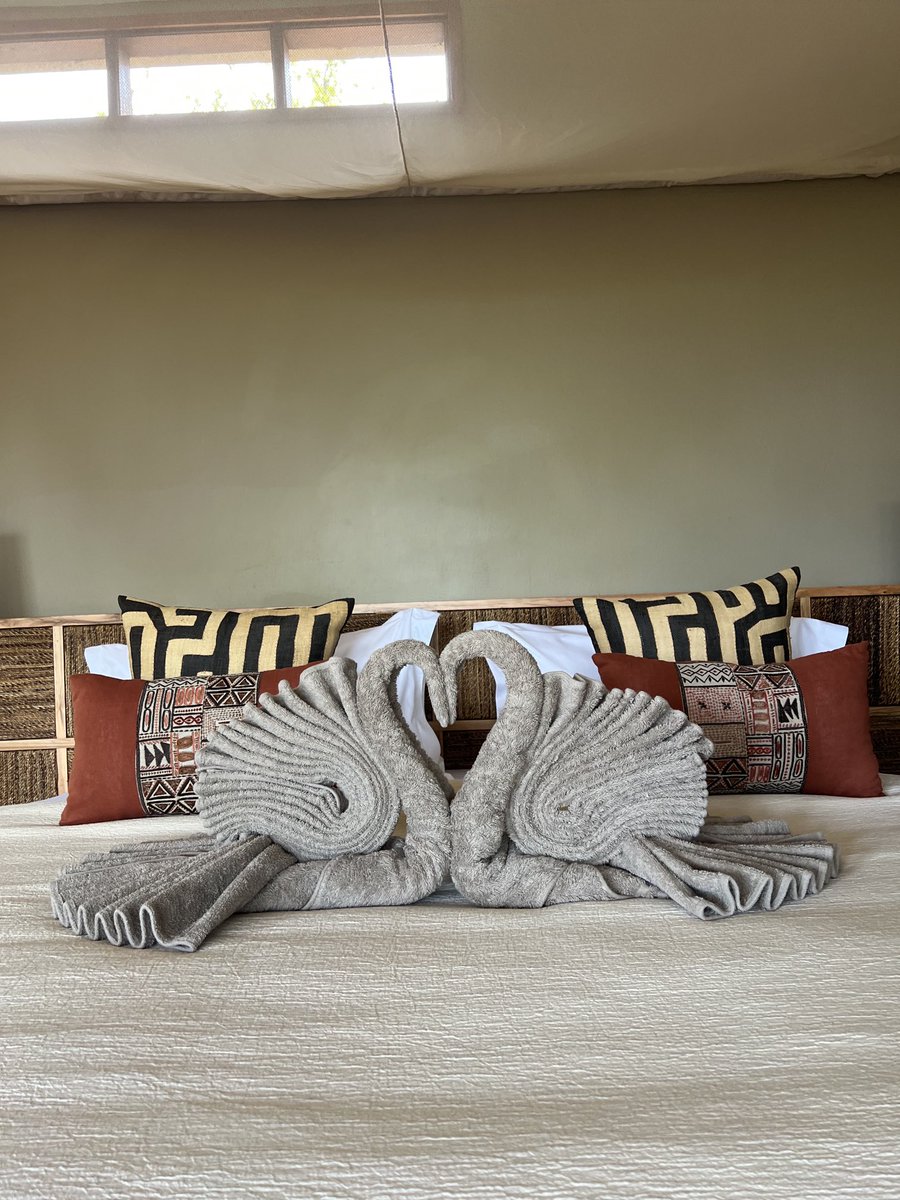 wekesa_amos's tweet photo. Mwamba Lodge Tarangire( Tanzania) and I work there as a chief employee!

Info@greatlakessafaris.com https://t.co/etHV1BYmzD