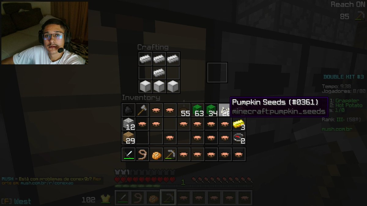 Mush (@mushmc_) on Twitter photo 