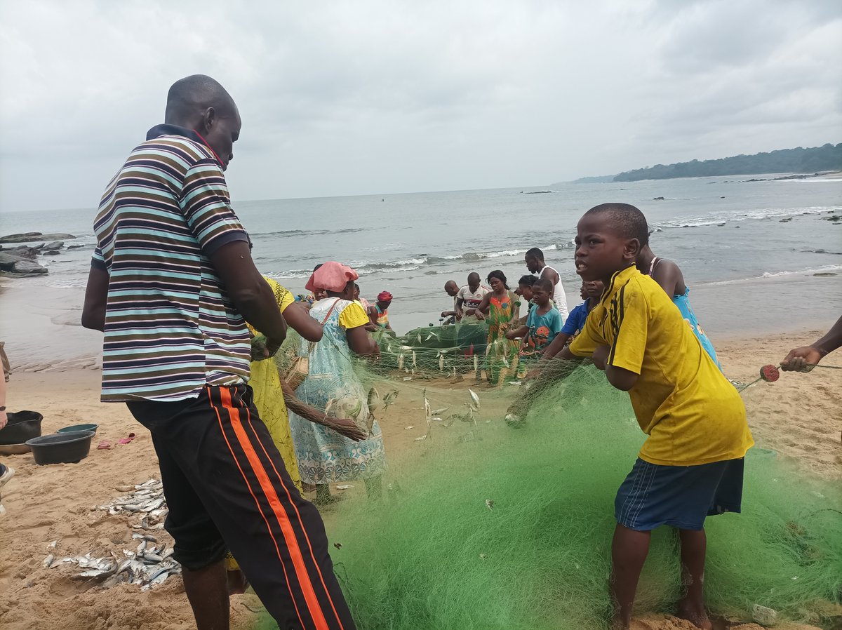 Manfred Aime Epanda tweet media