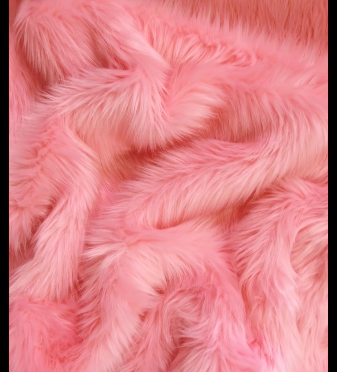 Eden 🪡🏳️🌈🎃 🔜 CFz 26 tweet media