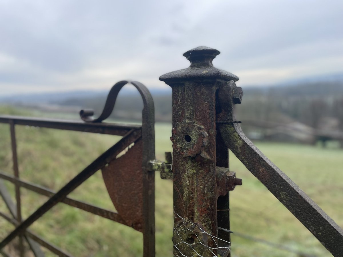 Whiffenpuff's tweet photo. A frosty walk across Denbies and Ranmore with doggo
One of my favourite benches along the NDW “pilgrims come wind come weather” #Denbies #SurreyHills #UnfitAt50 https://t.co/M8NPizrPZe