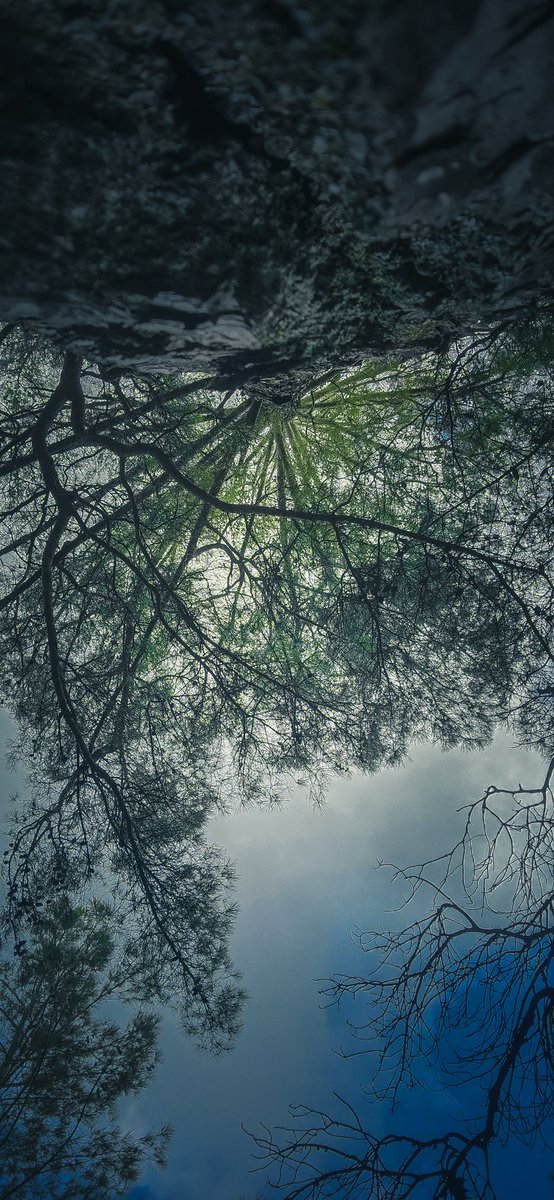 D҉in҉ç҉e҉r҉ ҉K҉a҉ç҉a҉n҉ (@dncrkcn2) on Twitter photo 