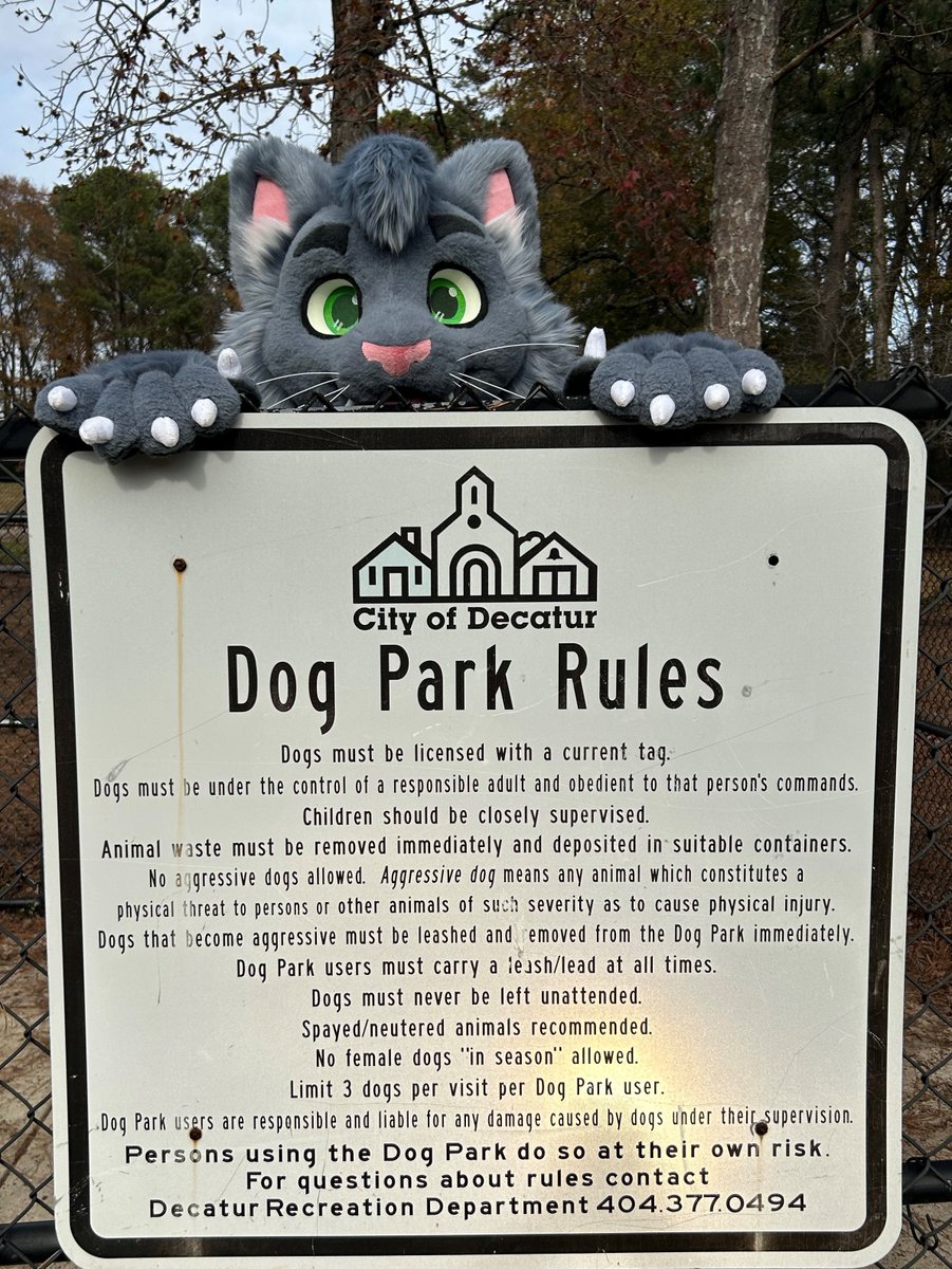 Cuppy 😺 tweet media