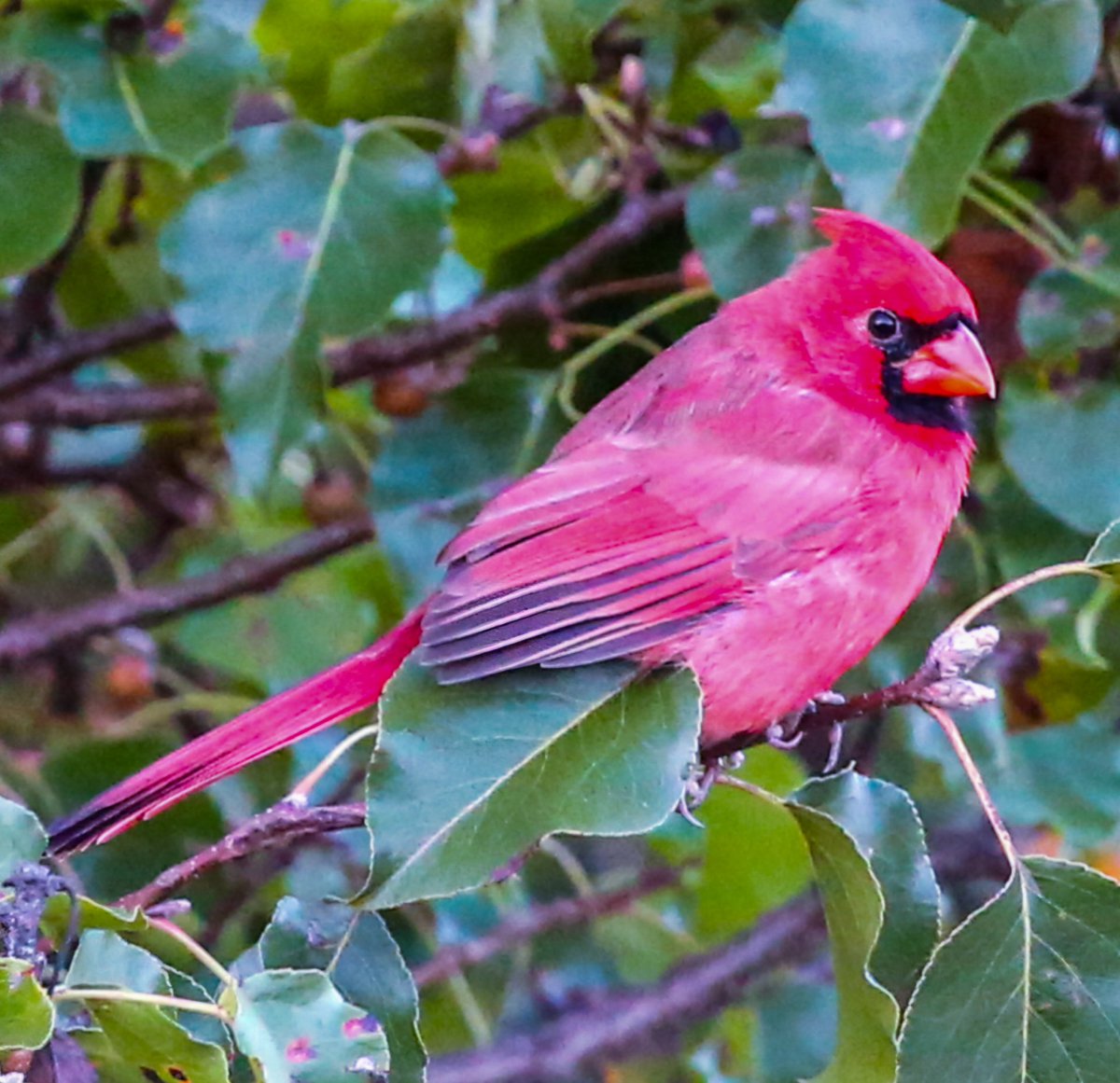 Ted Fletcher (@tedfletcher) on Twitter photo 