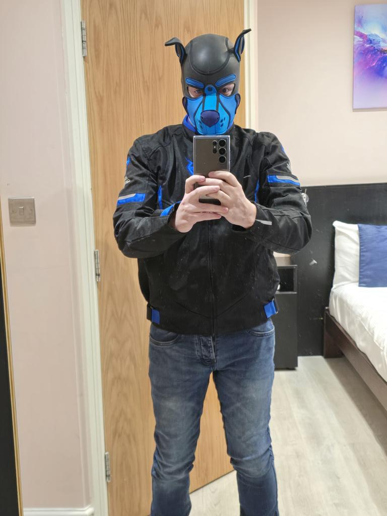 WoofThepup's tweet photo. Manchester WOOF is in you... off to KK say hi and give booooops  #hungalpha #alphapup #hornypup #humanpup #pupplay #booop https://t.co/Kbhco3POWT