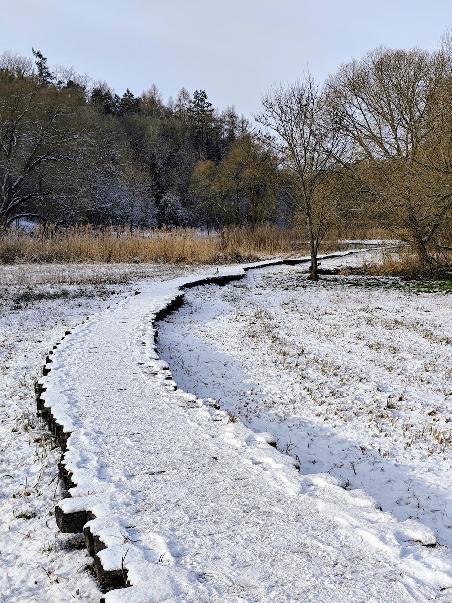 Dnes by to šlo 🏃‍♂️