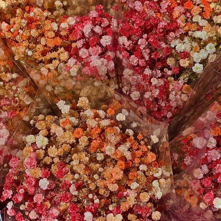 lena 🧙🏻♀️ tweet media