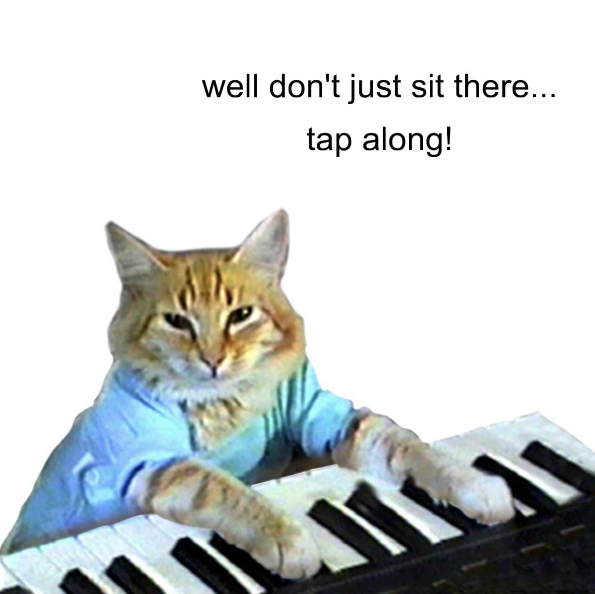 If you are on 𝕏, please like, comment and repost $KEYCAT content. Don’t just lurk. Contribute by tapping along to that catchy tune!