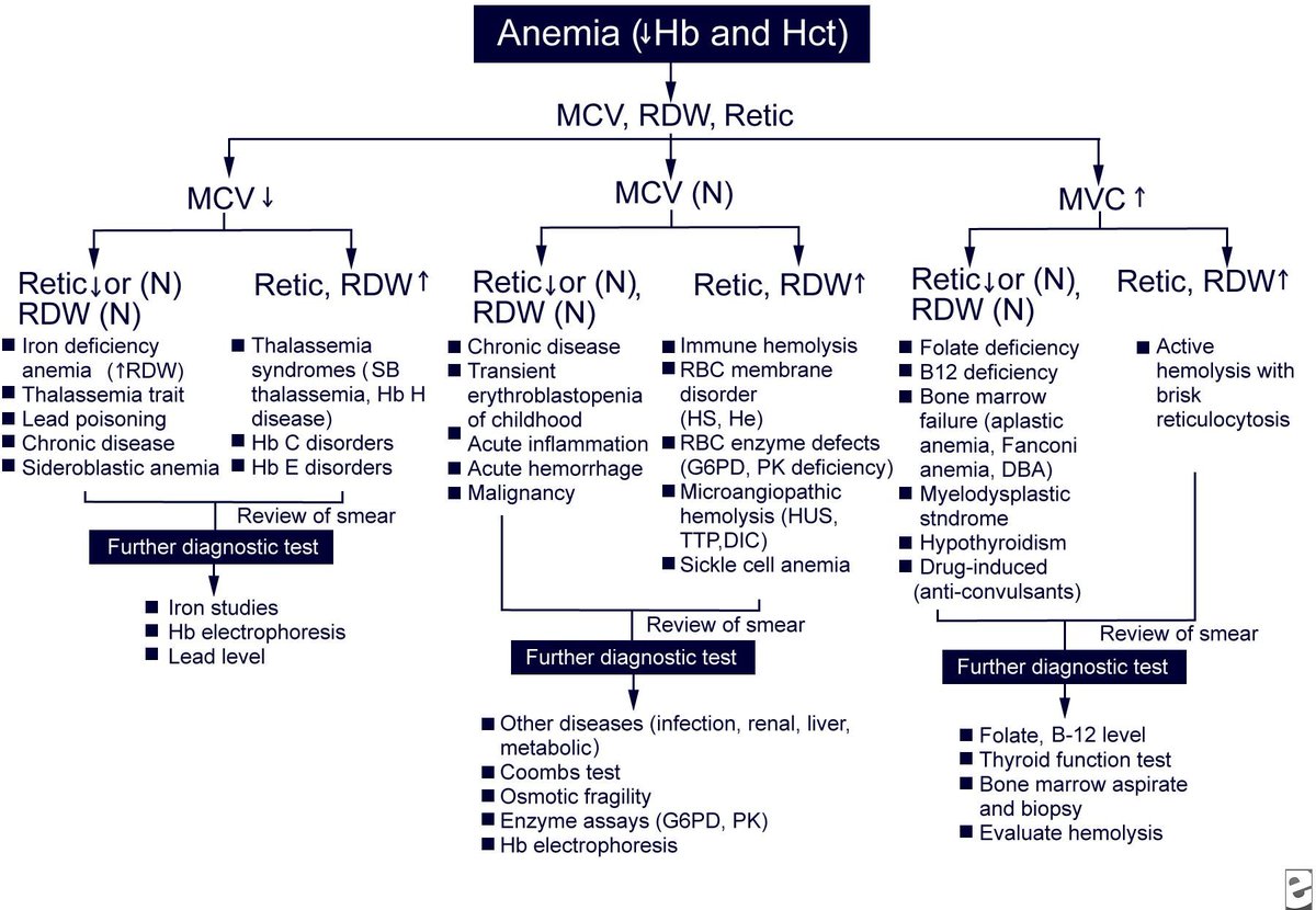 drsthanus's tweet image. This one is useful
Algorithm for diagnostic approach and workup of anemia in children.
emedicine.medscape.com