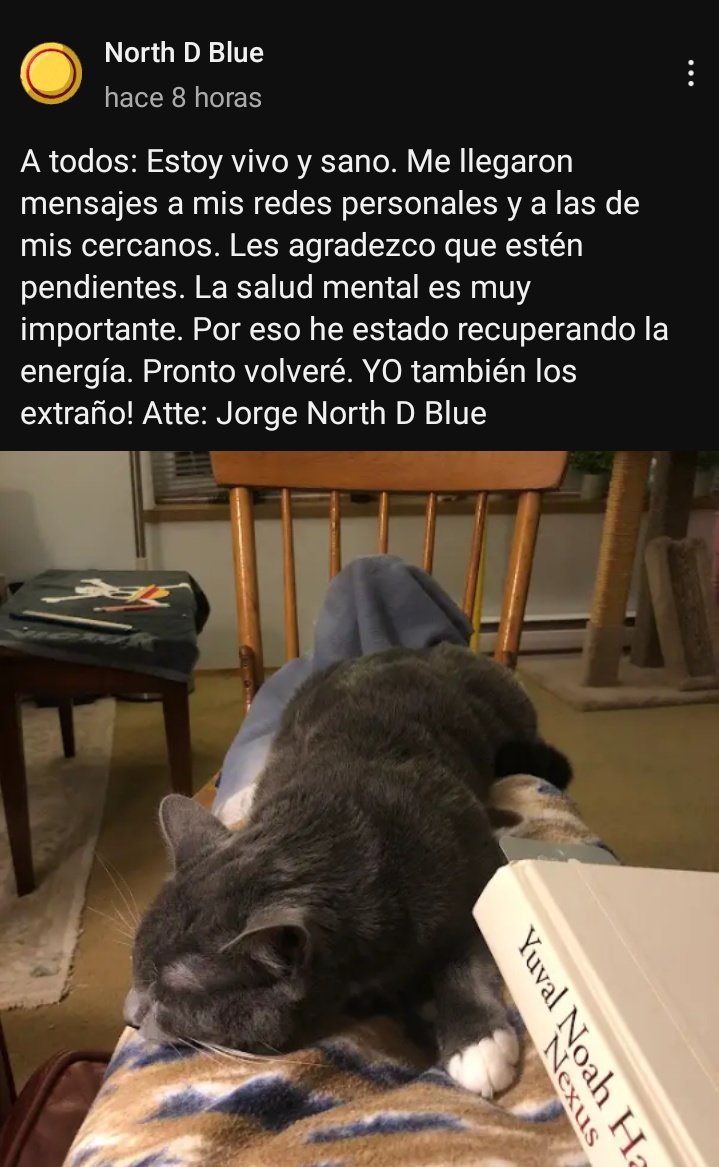 NorthDCrew's tweet photo. Comunicado del cap #northdblue https://t.co/0pVNlFSm3Y https://t.co/u5Cvicqdg1