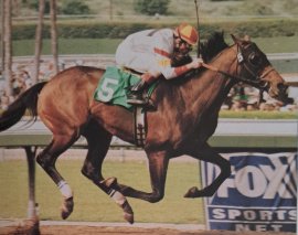 HORSERACING1002's tweet image. DEPUTY COMMANDER🇺🇸1994
(DEPUTY MINISTER  - ANKA GERMANIA BY MALINOWSKI)
#DeputyCommander
B/ Crystal Springs Farm,  Robert Moore &amp;amp; E. C. Allred(Ky) Apr 15, 1994
O/ Dollase, Jarvis, Mandylands Farm 
T/ Wallace A. Dollase
KEENOV $120,000
FTFFEB. $68,000 RNA
BARMAY $205,000