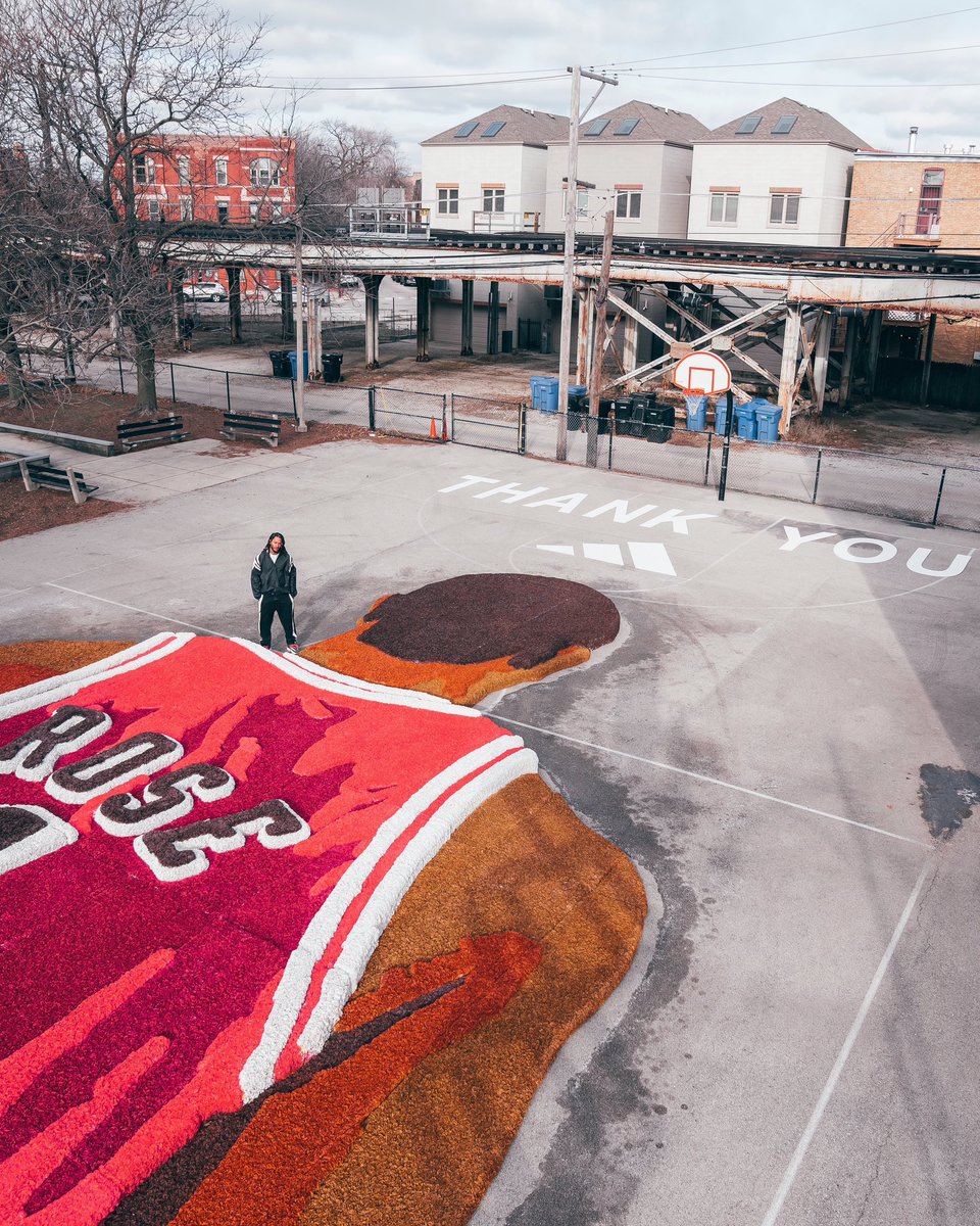 100,000 flowers
Infinite love for DRose