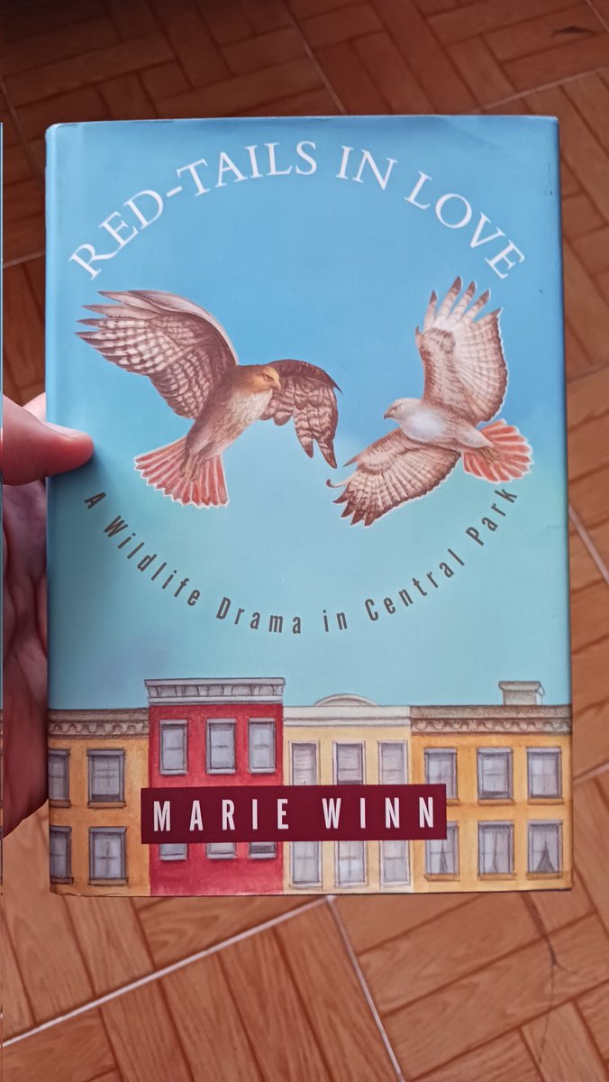 I am sadenned to hear about Marie Winn's passing last week. Her book and stories about the Pale Male will remain as a source of inspiration for many of us forever 🌹#mariewinn #palemale #centralpark