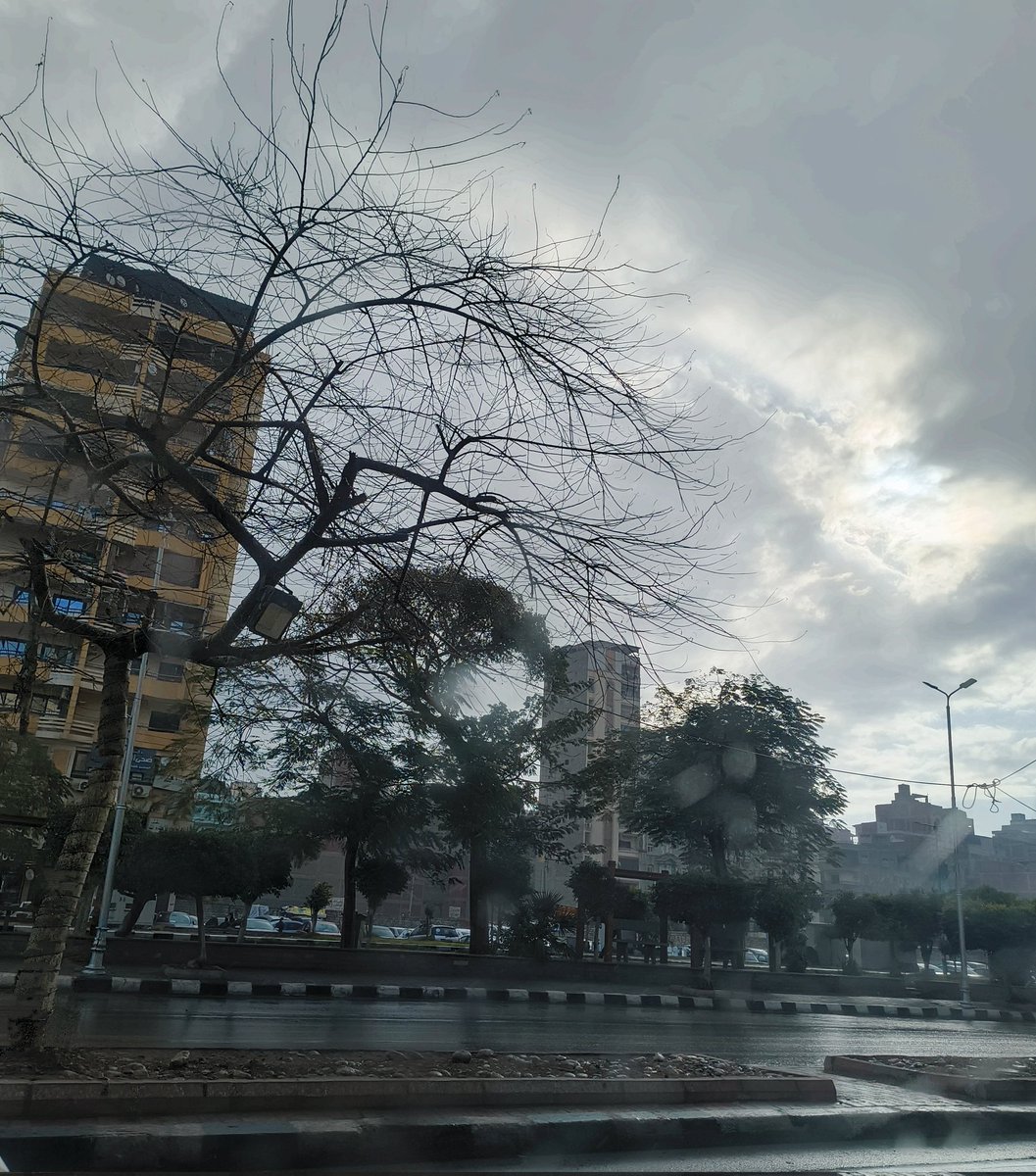 KamalNagy's tweet photo. It's raining like the days 🌧️🌧️
by Nothing phone 2a plus lens
#pic #picture #picoftheday #photooftheday #photoshoot #photographer #photographyisart #nature #naturephotography #skylovers #2aplus #Nothing #nothing_phone_2a_plus #sky #raindrops #raining #rainforest #rainphotography https://t.co/EFWqQp1NxW