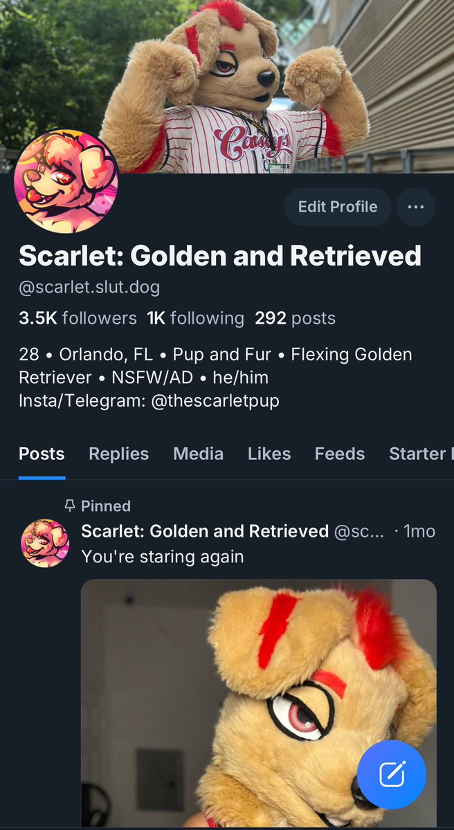 nobarkscarlet's tweet photo. Hey moots if it's been awhile. As per my last email, here's where you'll find me! https://t.co/2NMRh3GUq8