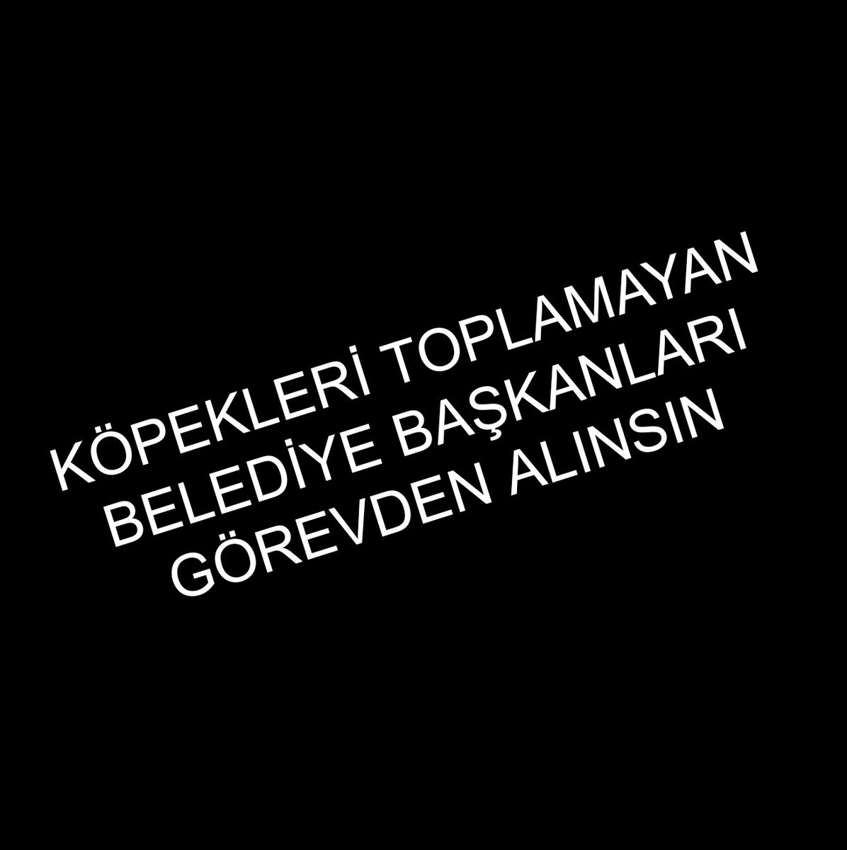 Kanunu uygulamayan, köpeklerin başıboşluğunu destekleyen tüm AK partili ve CHP'li belediye başkanları görevden alınsın.
Ben çocuklarımız kuduzdan, kist hidatikten ölsün istemiyorum.
<a href="/TC_icisleri/">T.C. İçişleri Bakanlığı</a> <a href="/Akparti/">AK Parti</a> <a href="/herkesicinCHP/">CHP 🇹🇷</a>