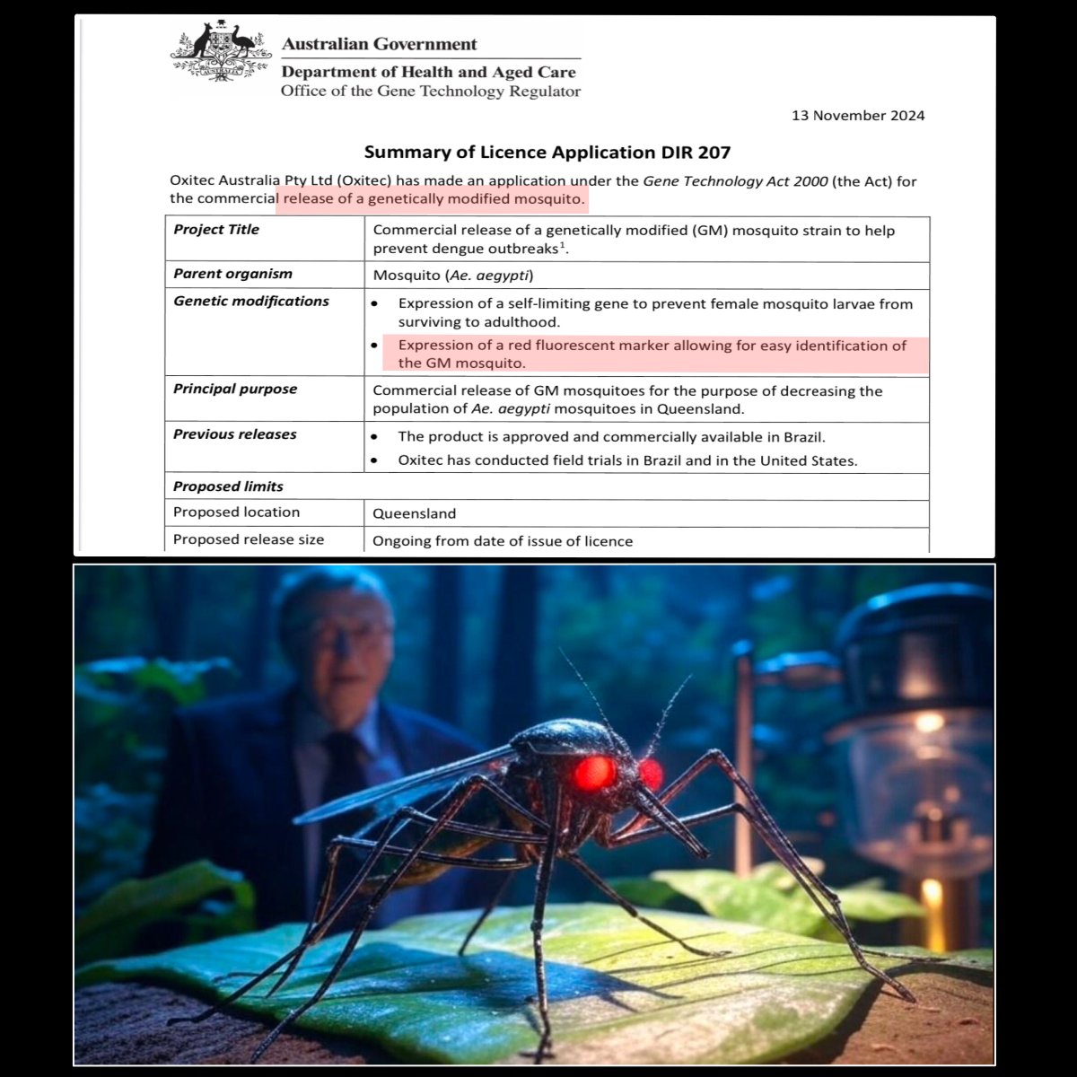 craigkellyAFEE's tweet image. WHAT COULD POSSIBLY GO WRONG ? 

Bill Gates is funding a project to release genetically modified mosquitos in Queensland. 

I guess they full understand all the potential unintended consequences. 

ogtr.gov.au/sites/default/…

ogtr.gov.au/sites/default/…