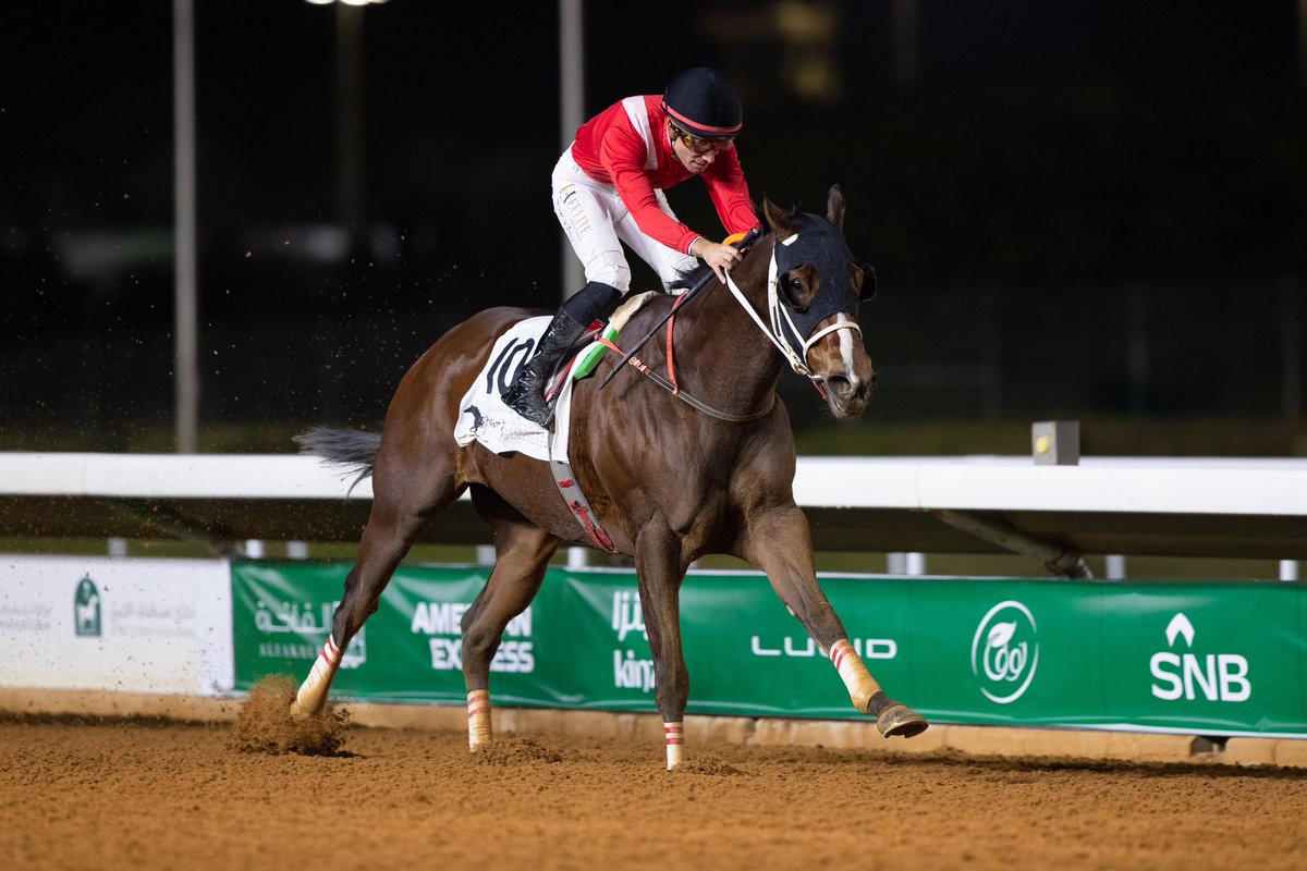 نادي سباقات الخيل tweet media
