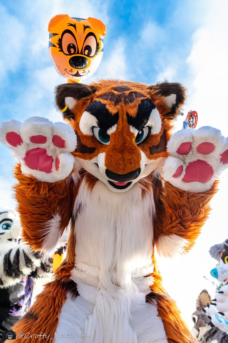 Boo! Did I scare you?
Thanks to <a href="/Crofty_Raccoon/">crofty_raccoon</a> for the photo!