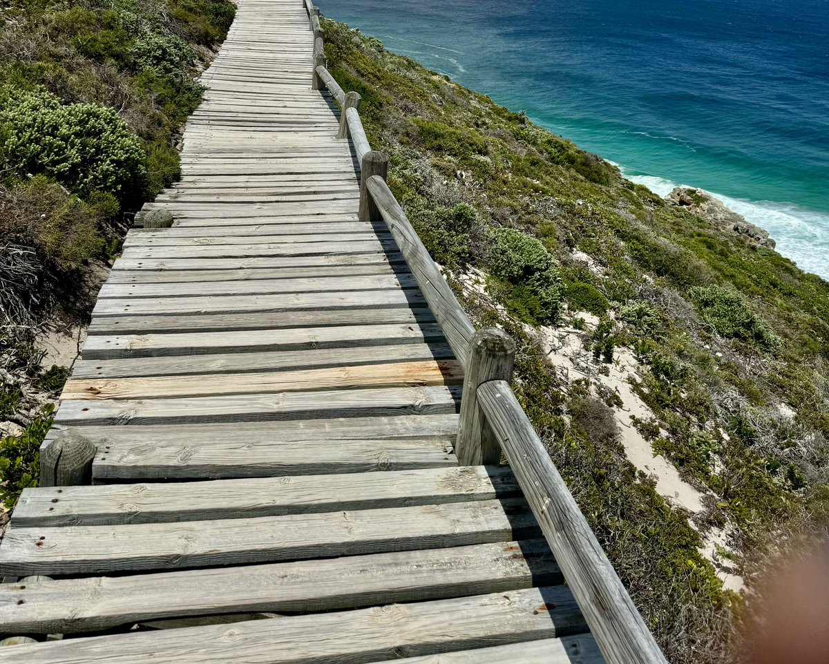 sbibb_bibb's tweet image. “… Life is a journey, not a destination… Eventually, we reach our destination only to begin again on a new journey to another place, therefore, to never enjoy the journey is to never enjoy life…”. Joyce Meyer
#EnjoyTheJourney
#EnjoyLife
#CelebrateEveryday