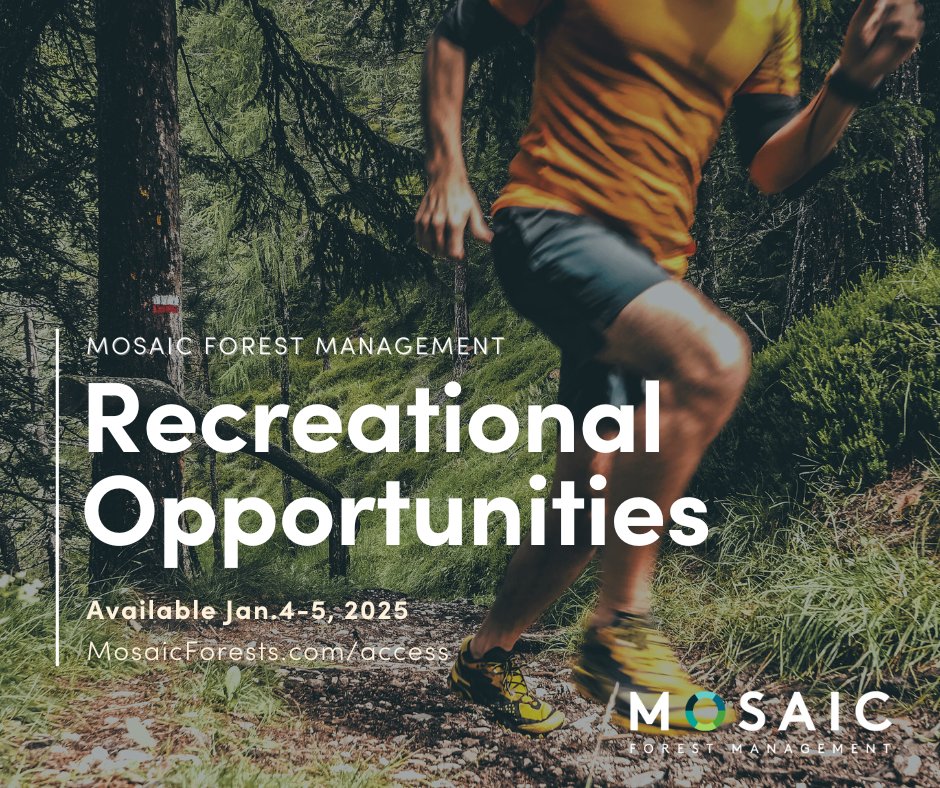 mosaicforests's tweet image. Recreational opportunities are available in designated areas on Mosaic's forest lands January 4-5, 2025. Please check gate status before heading out. Visit MosaicForests.com/access. #VancouverIsland
