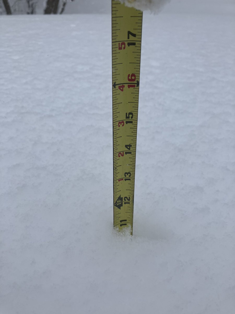 Gary Garnet tweet media