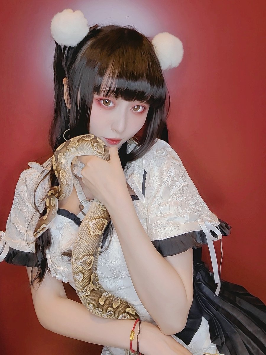 lanliin0619's tweet photo. 人像｜𝕮𝖍𝖊𝖔𝖓𝖌𝖘𝖆𝖒 𝖝 𝕾𝖓𝖆𝖐𝖊

⚠️ヘビ注意🐍

今年はうちの赤ちゃんの年です🥺✨️✨️

#写真 #被写体モデル #ポートレート #ポトレ #写真撮影 #雰囲気  #気になった人フォロー
#中華風  #lolita #ロリータ #ロリータファッション
#ボールパイソン #蛇 #爬虫類 #sanke #球蟒 #蛇年 https://t.co/dy4GNRVTsl