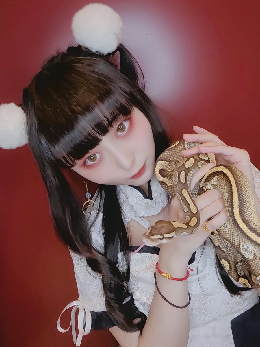 lanliin0619's tweet photo. 人像｜𝕮𝖍𝖊𝖔𝖓𝖌𝖘𝖆𝖒 𝖝 𝕾𝖓𝖆𝖐𝖊

⚠️ヘビ注意🐍

今年はうちの赤ちゃんの年です🥺✨️✨️

#写真 #被写体モデル #ポートレート #ポトレ #写真撮影 #雰囲気  #気になった人フォロー
#中華風  #lolita #ロリータ #ロリータファッション
#ボールパイソン #蛇 #爬虫類 #sanke #球蟒 #蛇年 https://t.co/dy4GNRVTsl