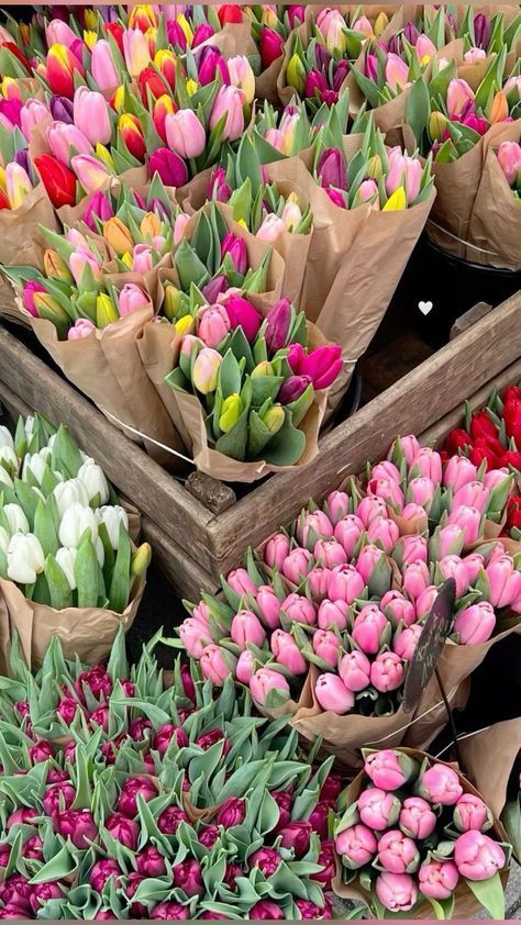 🌷