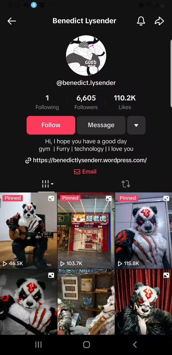 Hello, everyone. This man is a despicable thief.😡😡😡 He stole my video. I have not applied for any account on Tiktok.
#furry #FursuitEveryday #fursuit
