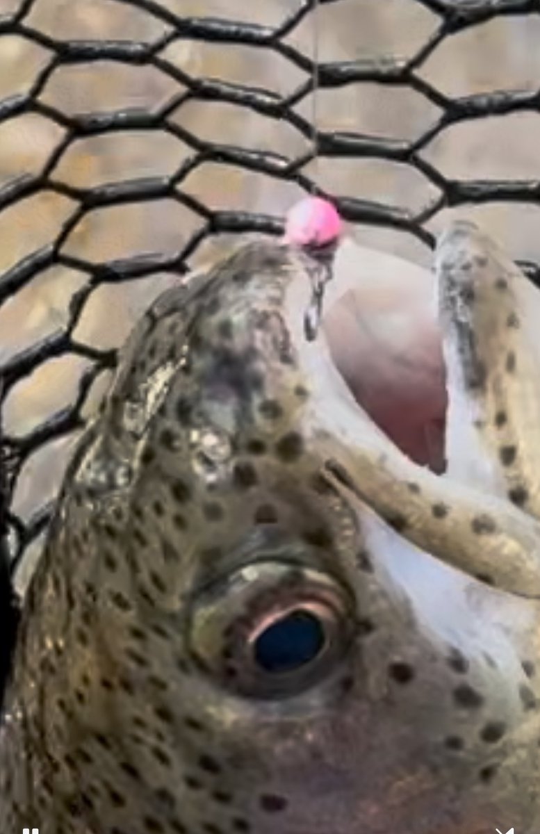 Reed Timmer, PhD tweet media