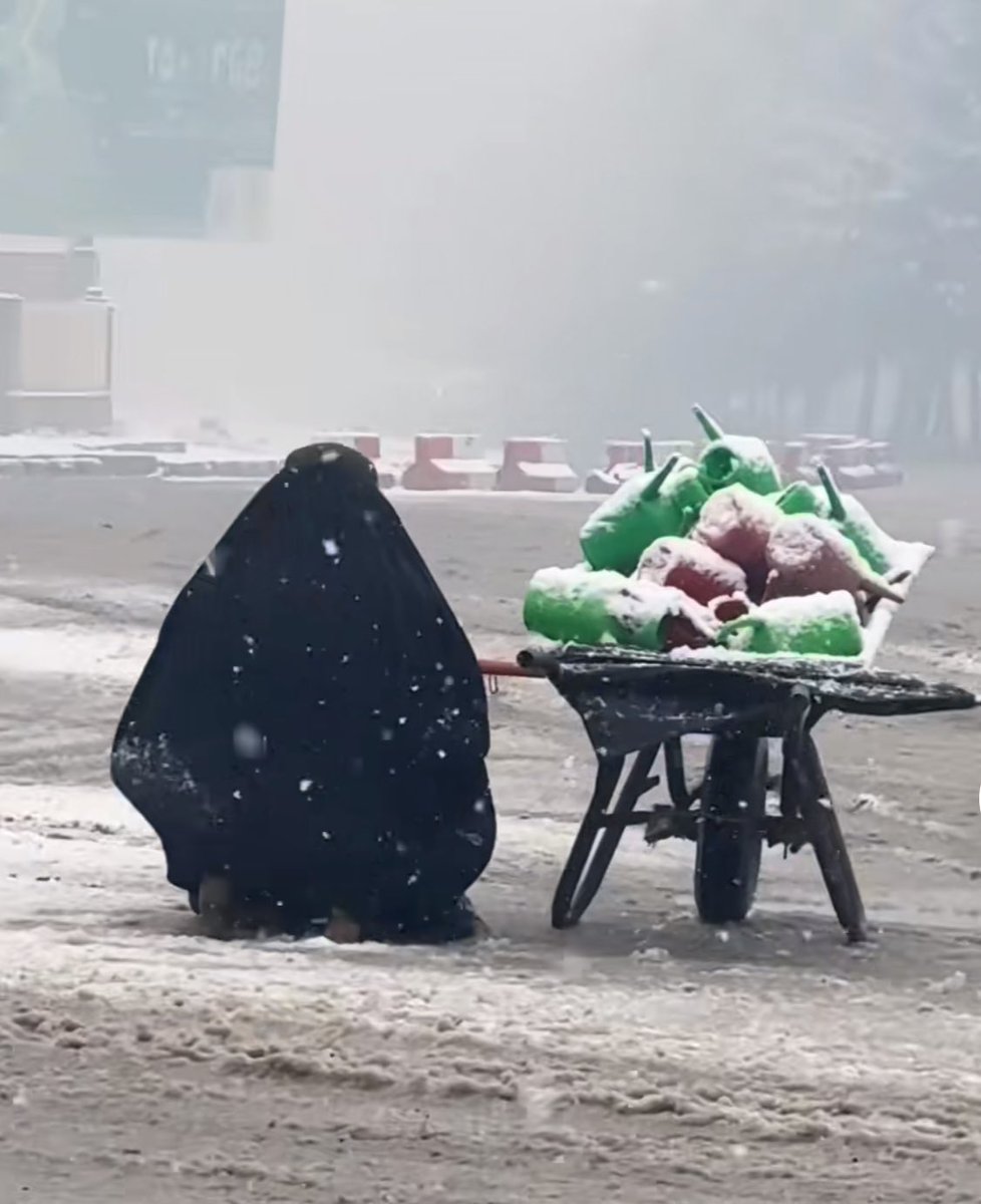 The Taliban have forbidden women’s education and work in offices. However, in extreme conditions like severe cold or snowfall, collecting charity to support their families is allowed. Afghan women have endured immense hardship under Taliban rule. Don’t forget Afghan women!