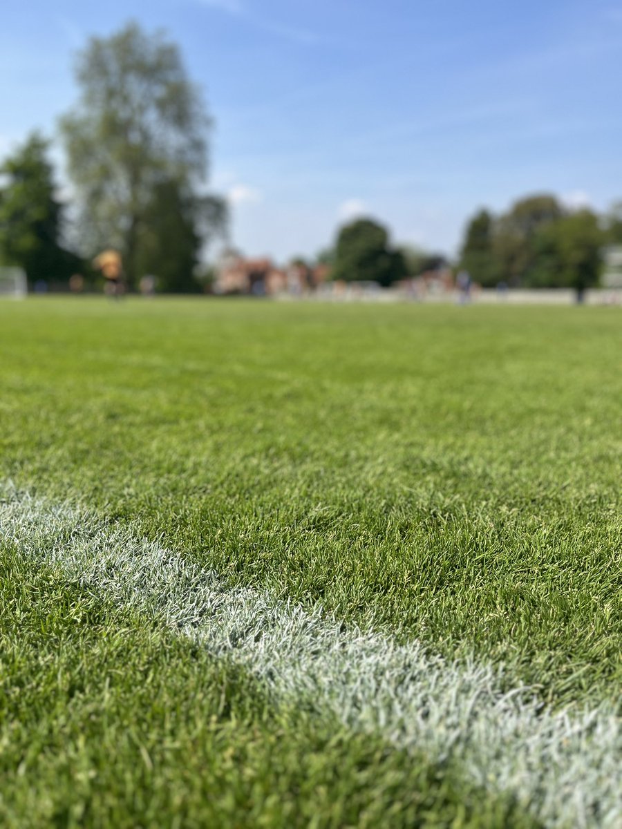 Maidenhead Town FC tweet media