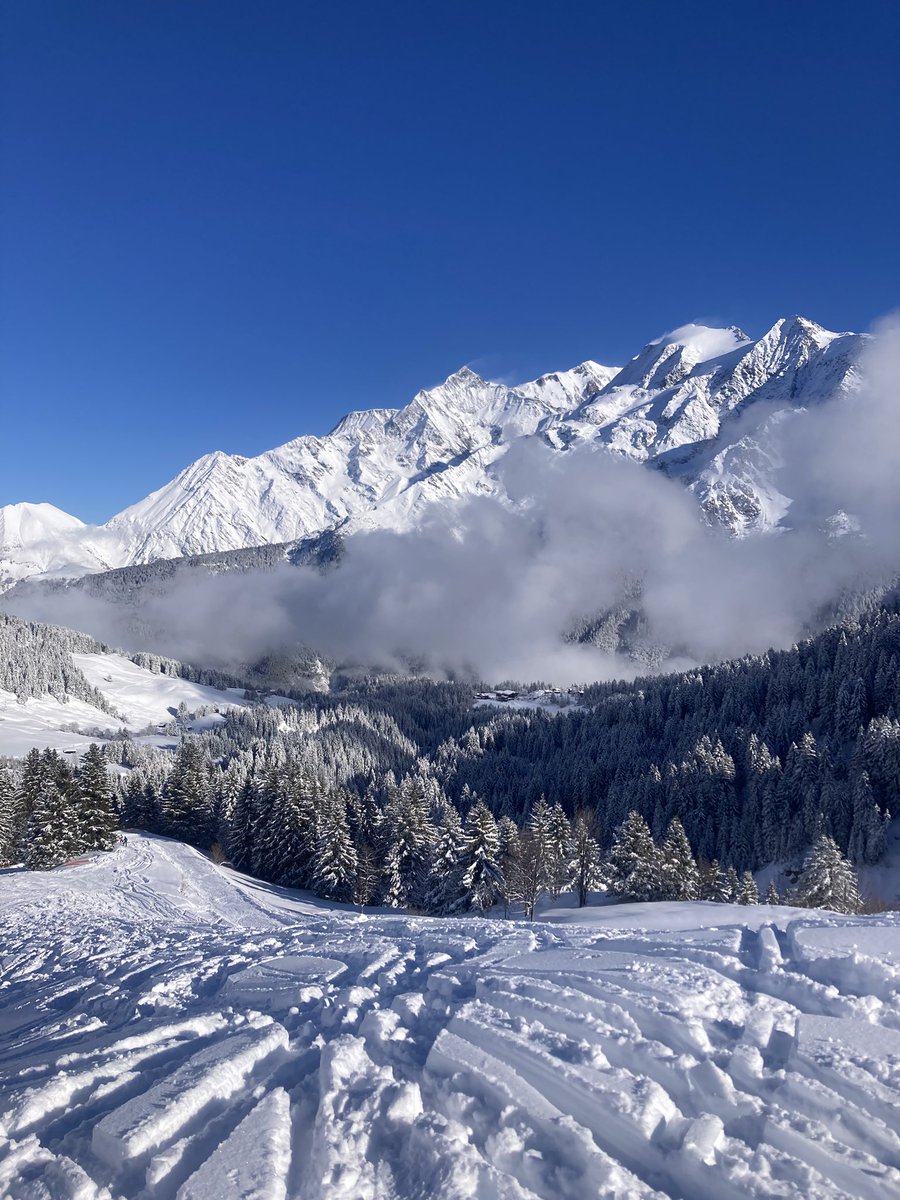 Wayne Davis tweet media